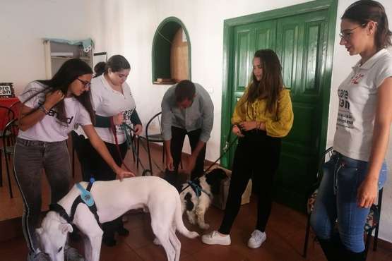 Amantes de los animales conocen en Telde los entresijos de un centro de acogida (Foto TA)